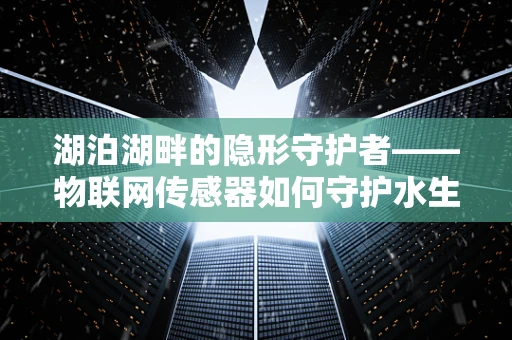 湖泊湖畔的隐形守护者——物联网传感器如何守护水生态？