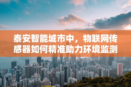 泰安智能城市中，物联网传感器如何精准助力环境监测？