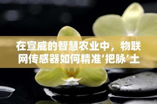 在宣威的智慧农业中，物联网传感器如何精准‘把脉’土壤？