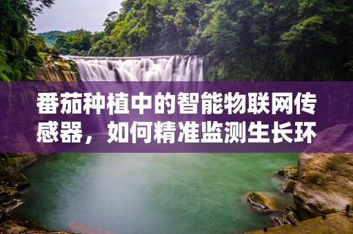 番茄种植中的智能物联网传感器，如何精准监测生长环境？