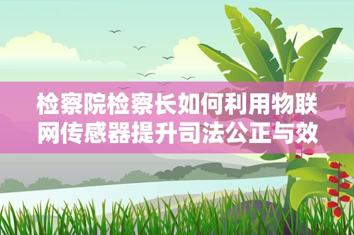 检察院检察长如何利用物联网传感器提升司法公正与效率？