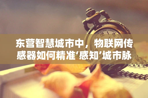 东营智慧城市中，物联网传感器如何精准‘感知’城市脉动？