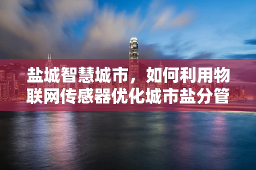 盐城智慧城市，如何利用物联网传感器优化城市盐分管理？