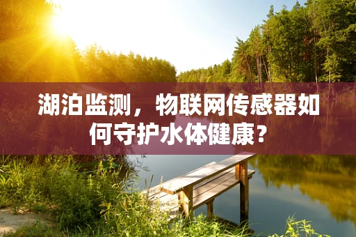 湖泊监测，物联网传感器如何守护水体健康？