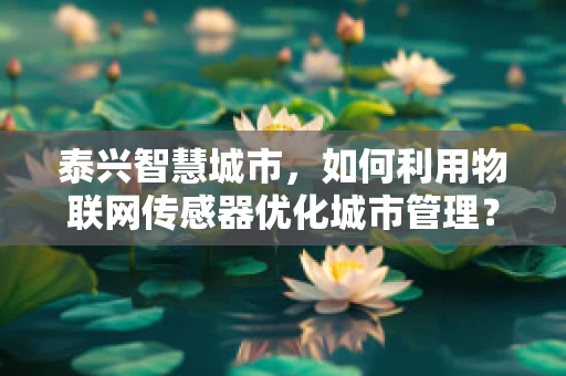 泰兴智慧城市，如何利用物联网传感器优化城市管理？