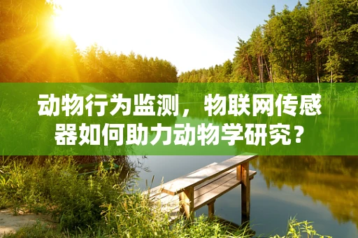 动物行为监测，物联网传感器如何助力动物学研究？