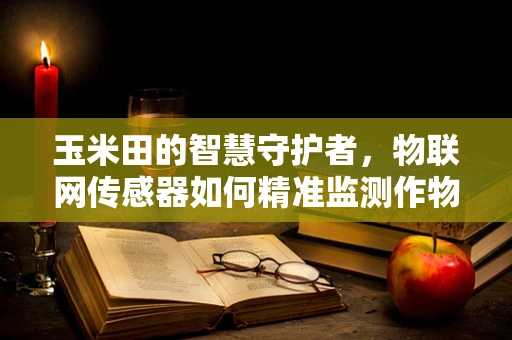 玉米田的智慧守护者，物联网传感器如何精准监测作物生长？