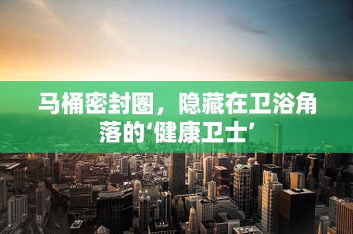 马桶密封圈，隐藏在卫浴角落的‘健康卫士’