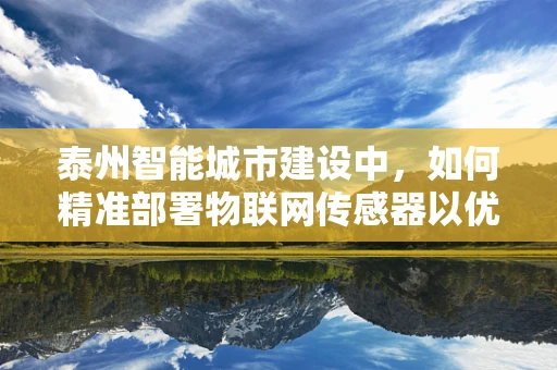 泰州智能城市建设中，如何精准部署物联网传感器以优化城市管理？