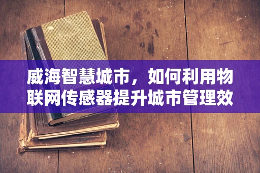 威海智慧城市，如何利用物联网传感器提升城市管理效率？