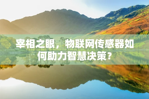 宰相之眼，物联网传感器如何助力智慧决策？