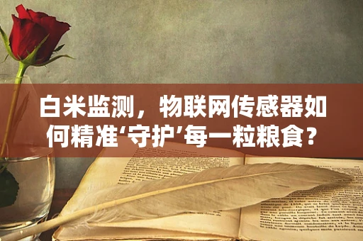 白米监测，物联网传感器如何精准‘守护’每一粒粮食？