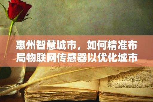 惠州智慧城市，如何精准布局物联网传感器以优化城市管理？