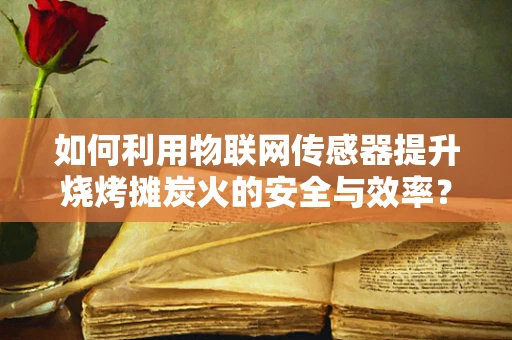如何利用物联网传感器提升烧烤摊炭火的安全与效率？
