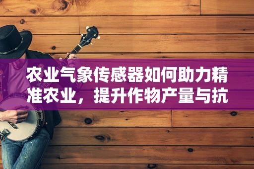 农业气象传感器如何助力精准农业，提升作物产量与抗灾能力？