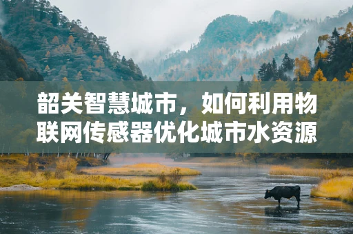 韶关智慧城市，如何利用物联网传感器优化城市水资源管理？