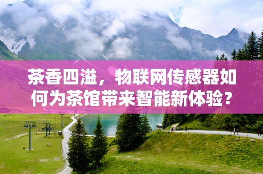茶香四溢，物联网传感器如何为茶馆带来智能新体验？