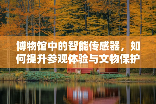 博物馆中的智能传感器，如何提升参观体验与文物保护？