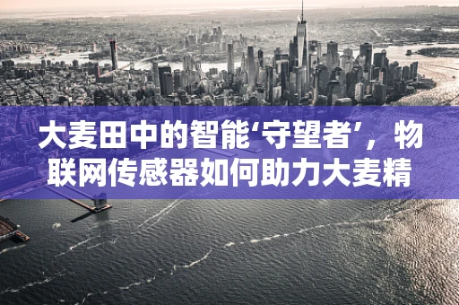 大麦田中的智能‘守望者’，物联网传感器如何助力大麦精准种植？