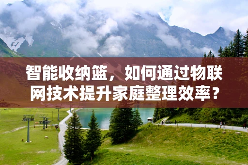 智能收纳篮，如何通过物联网技术提升家庭整理效率？