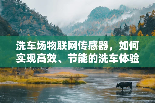 洗车场物联网传感器，如何实现高效、节能的洗车体验？