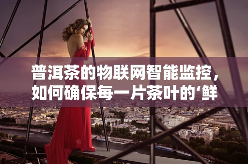 普洱茶的物联网智能监控，如何确保每一片茶叶的‘鲜’与‘真’？