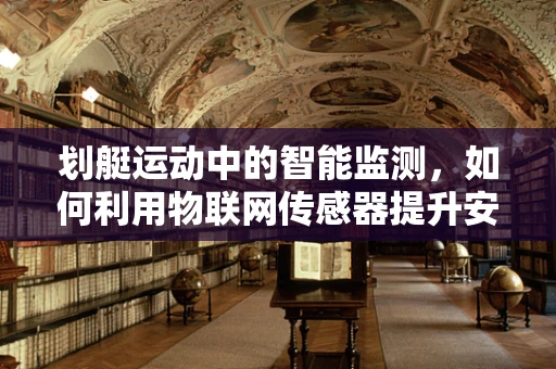 划艇运动中的智能监测，如何利用物联网传感器提升安全与效率？