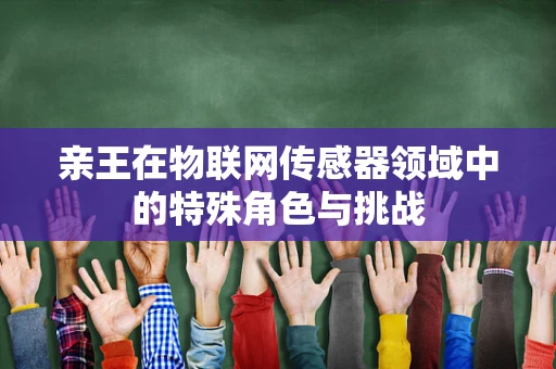 亲王在物联网传感器领域中的特殊角色与挑战
