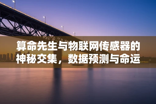 算命先生与物联网传感器的神秘交集，数据预测与命运预言的界限何在？