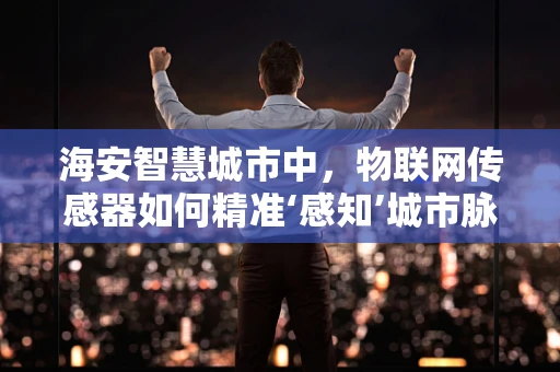 海安智慧城市中，物联网传感器如何精准‘感知’城市脉动？