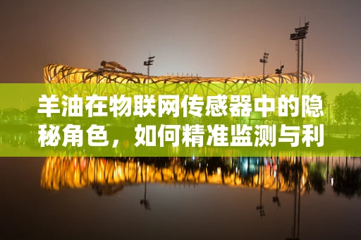 羊油在物联网传感器中的隐秘角色，如何精准监测与利用？