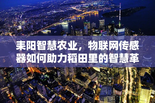 耒阳智慧农业，物联网传感器如何助力稻田里的智慧革命？