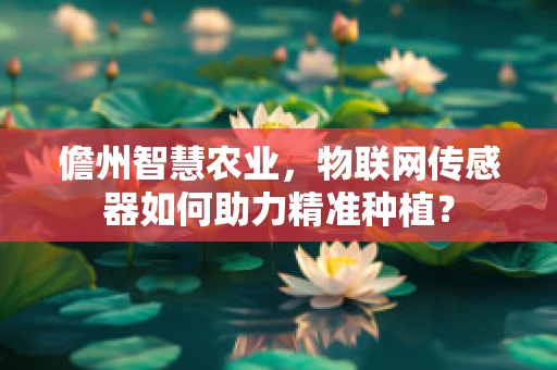 儋州智慧农业，物联网传感器如何助力精准种植？