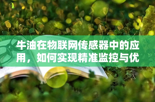 牛油在物联网传感器中的应用，如何实现精准监控与优化？