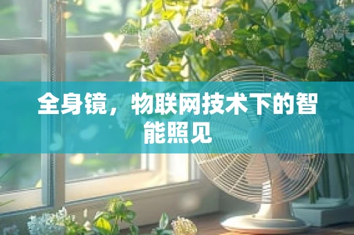 全身镜，物联网技术下的智能照见