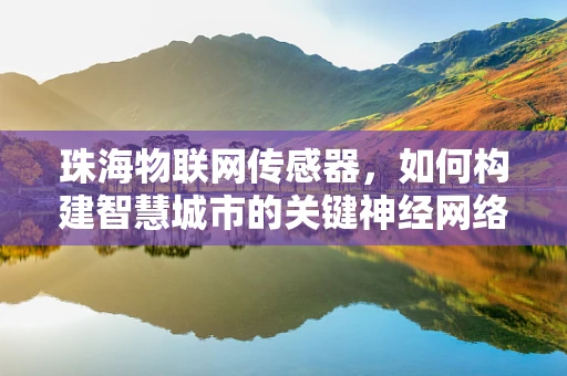 珠海物联网传感器，如何构建智慧城市的关键神经网络？
