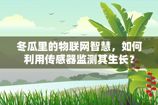冬瓜里的物联网智慧，如何利用传感器监测其生长？