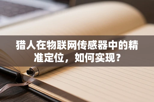 猎人在物联网传感器中的精准定位，如何实现？