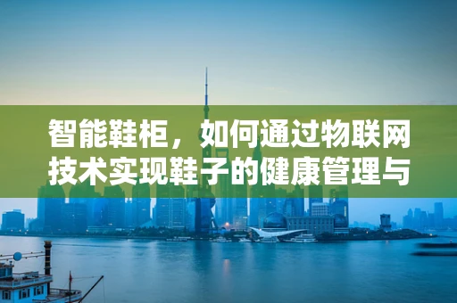智能鞋柜，如何通过物联网技术实现鞋子的健康管理与个性化服务？