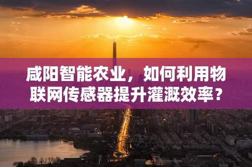 咸阳智能农业，如何利用物联网传感器提升灌溉效率？