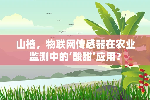 山楂，物联网传感器在农业监测中的‘酸甜’应用？