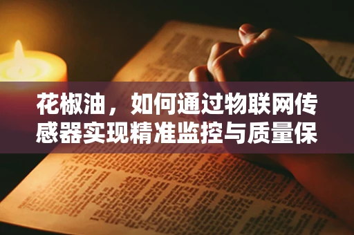 花椒油，如何通过物联网传感器实现精准监控与质量保障？