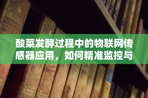 酸菜发酵过程中的物联网传感器应用，如何精准监控与优化？