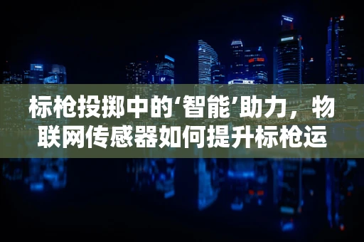 标枪投掷中的‘智能’助力，物联网传感器如何提升标枪运动员的精准与效率？