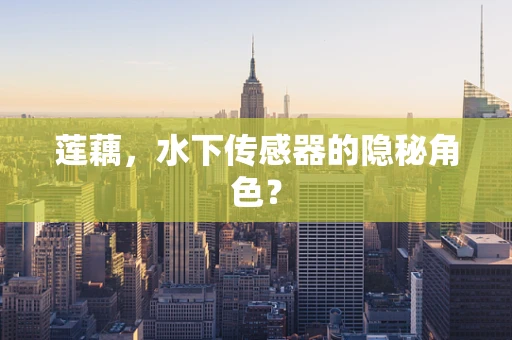 莲藕，水下传感器的隐秘角色？