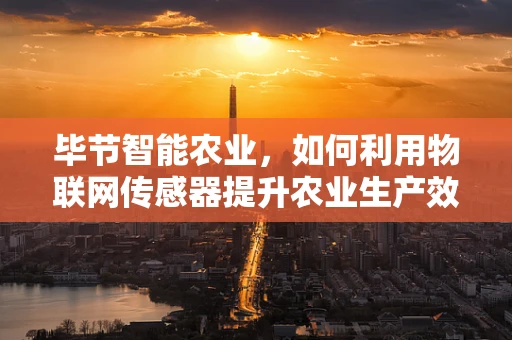 毕节智能农业，如何利用物联网传感器提升农业生产效率？