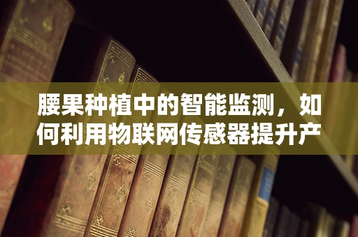 腰果种植中的智能监测，如何利用物联网传感器提升产量？