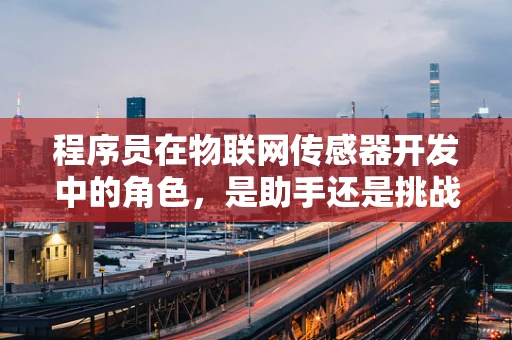 程序员在物联网传感器开发中的角色，是助手还是挑战？