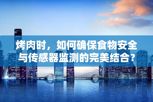 烤肉时，如何确保食物安全与传感器监测的完美结合？