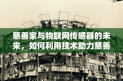 慈善家与物联网传感器的未来，如何利用技术助力慈善？